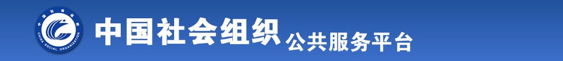 亚洲AV秘无码一区二区久久全国社会组织信息查询